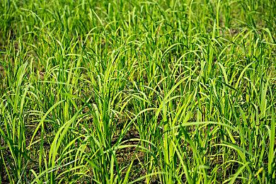 悬疑游戏《Recontact London: Cyber Puzzle》现已在Steam发售