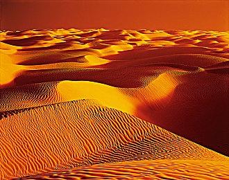 多年努力终获回报 《辐射76》玩家数量突破1300万